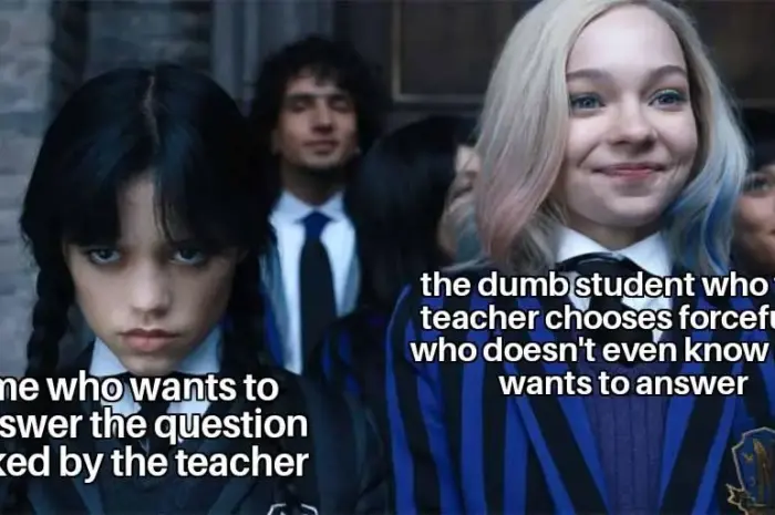 Why do they do it?