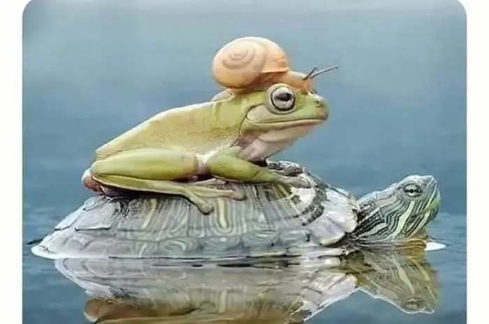 Will you ever be this cool? Really