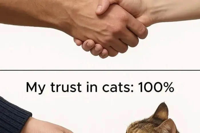Is humanity still worth trusting?