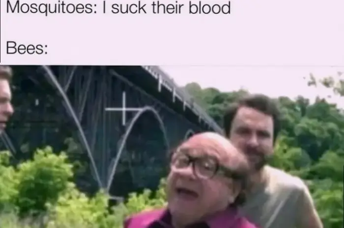 Run for your life😂