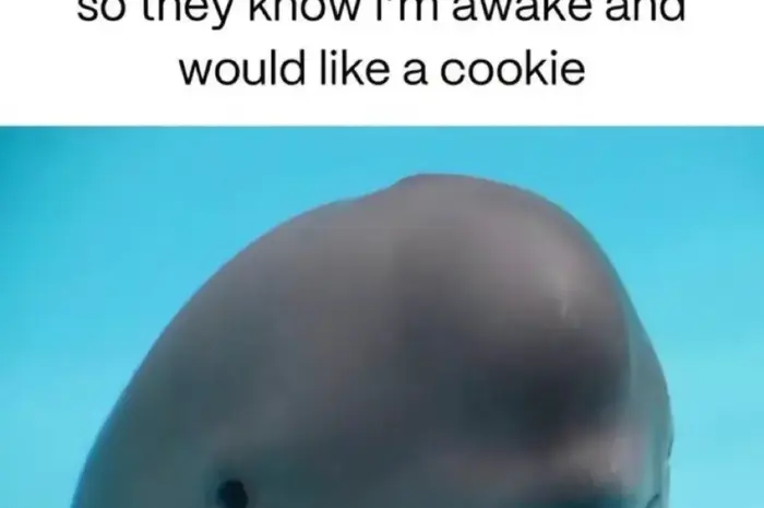 I mean that so true