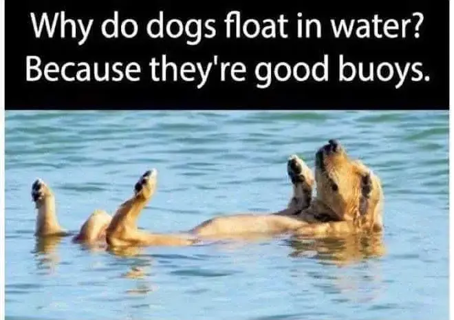 Good buoys