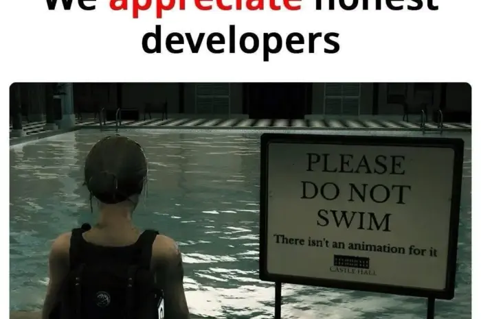 lol, me as a developer