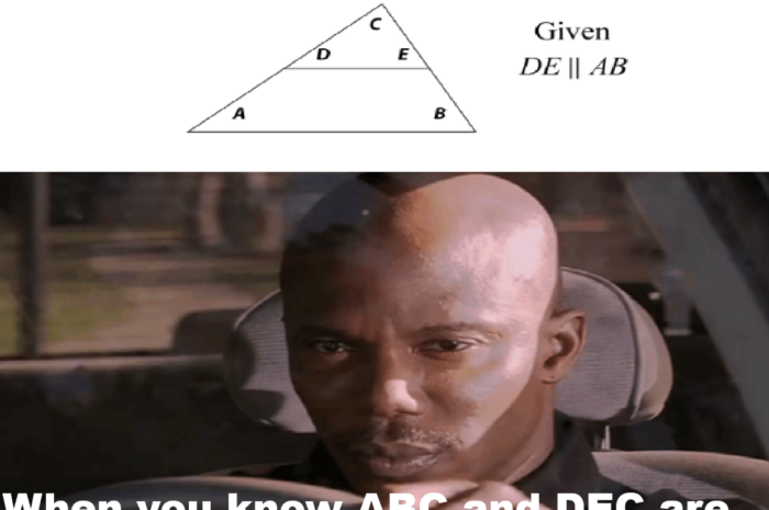 what it’s like to solve trigonometry problems