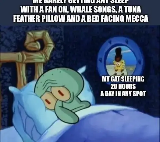 Why is it so hard to sleep