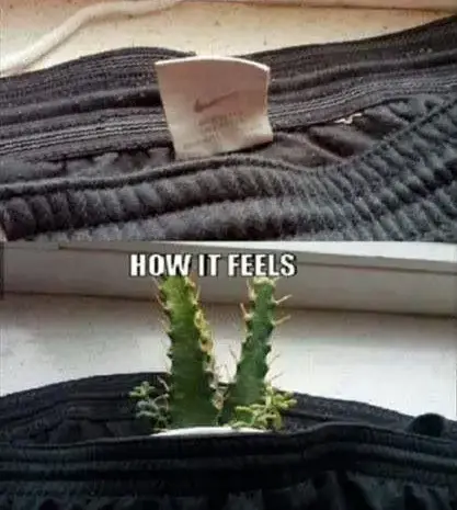 I don’t have a single tag left on my clothes haha