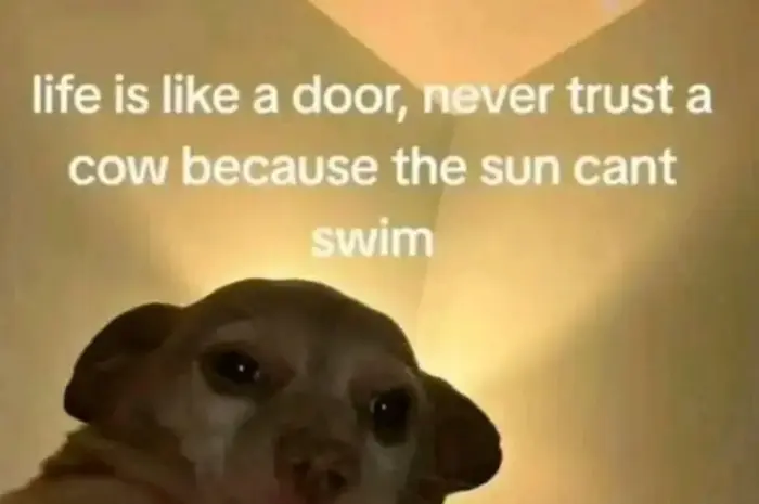 I always laugh at this