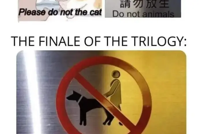 THE FINALE OF THE TRILOGY