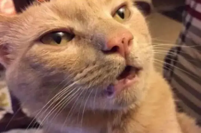 When you realize you’re next.