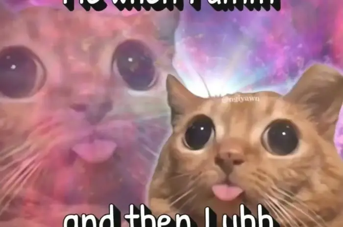 Ummmm uhhhh