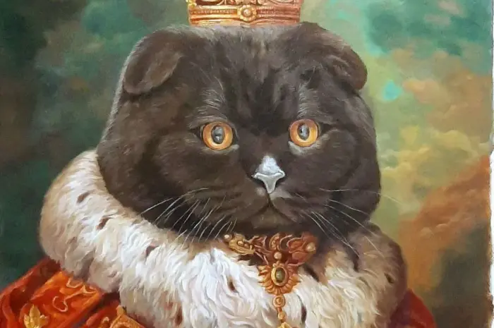 King of the cats. My oil painting on canvas.