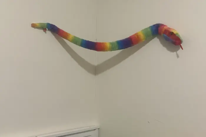 Fuck y’all and your fancy bullshit. I got a gay snake on my wall