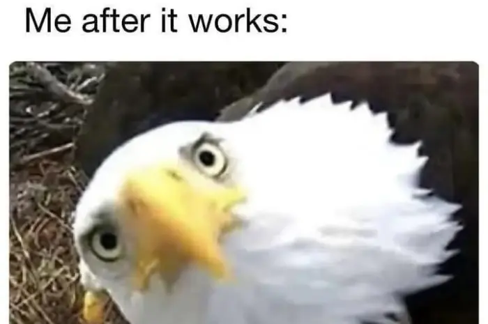 Exactly the same look