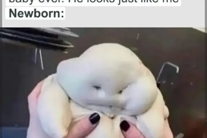 He just looks like me