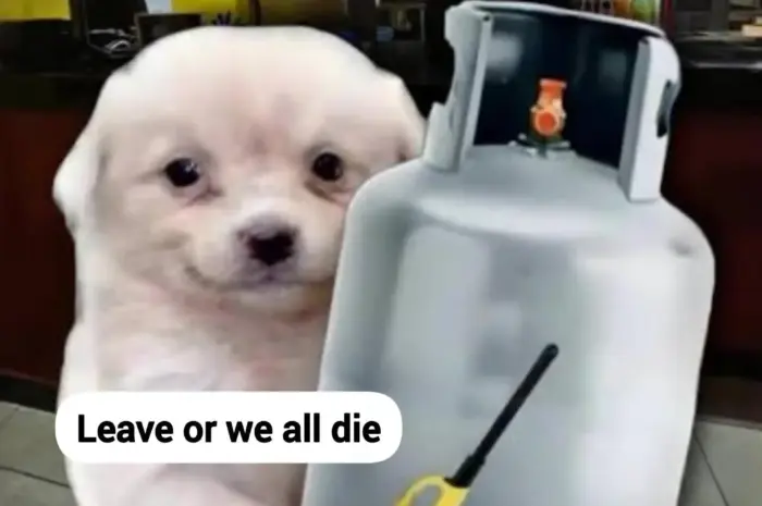 Leave or we all leave with you