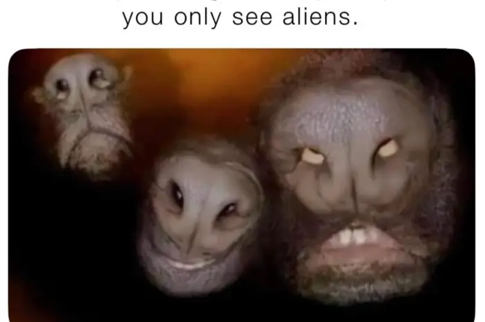 Dogs or aliens you decide