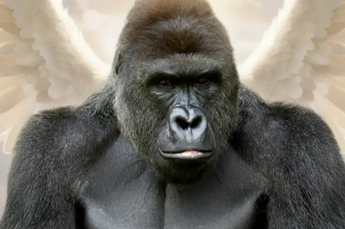 Fight brainrot with the original gorilla!