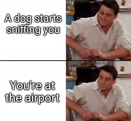 No! Down boy!