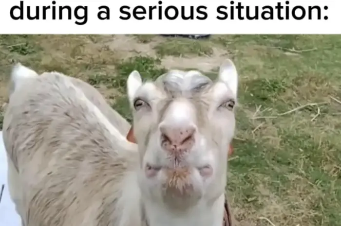 I always get the urge to laugh when I’m strictly not allowed to.