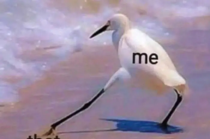 Me vs don’t do that