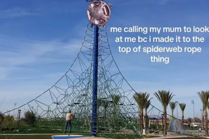 “GET DOWN FROM THERE!!”