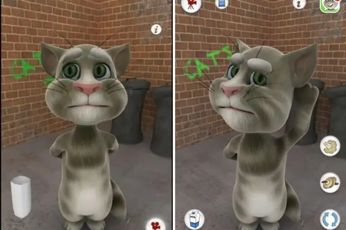 Sorry Talking Tom
