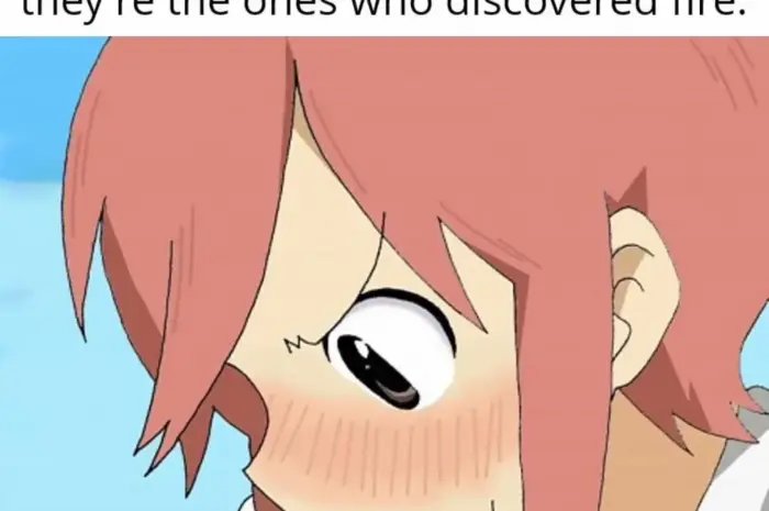 Daily Nichijou meme #2842
