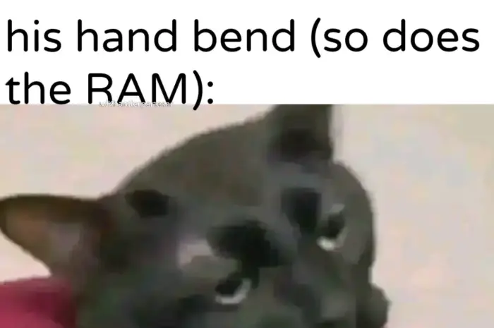hearing the crunch is so painful
