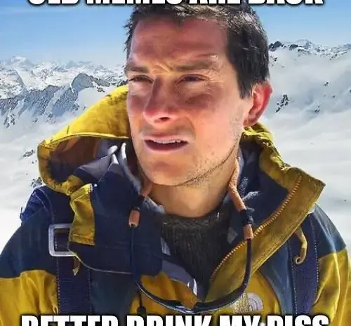 Bear Approves