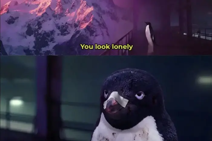 You look lonely