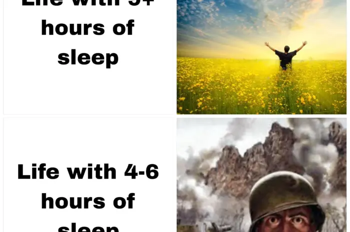 Sleep fixes everything