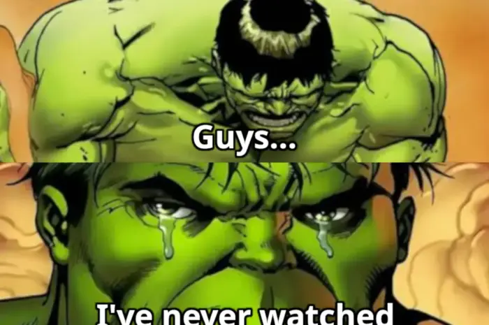 I don’t know why. But I never watched it.