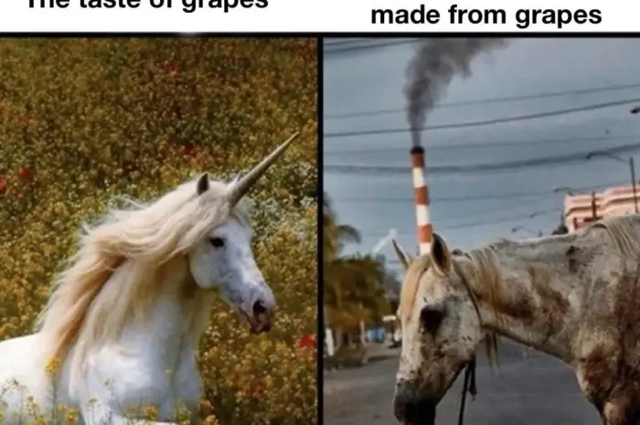 Sucks to be a grapist