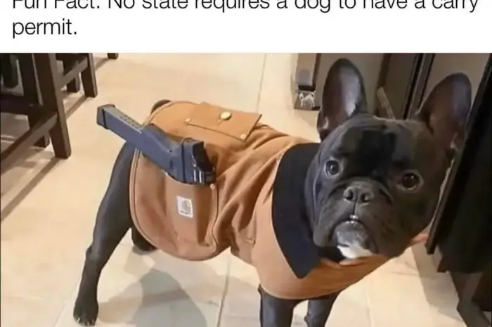 Best guard dog in the world