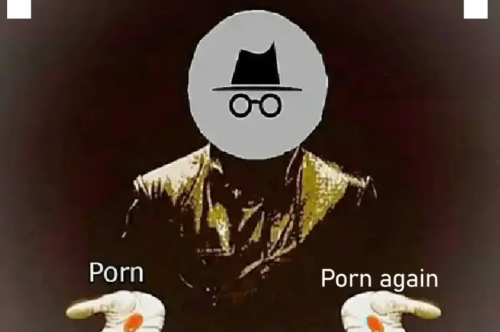 no stupid questions, just porn