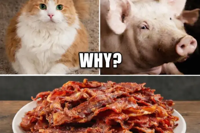 It’s a no-brainer if you think about it.