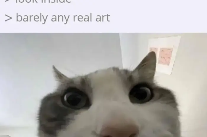 Barely any real art.