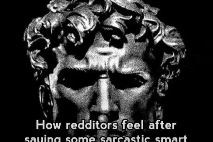 Reddit sarcasm is brutal