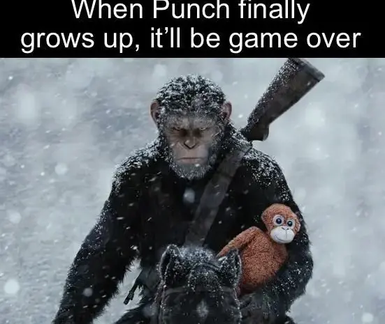 He’s coming after the bullies