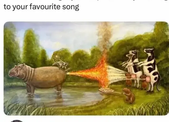 horse is correct i guess