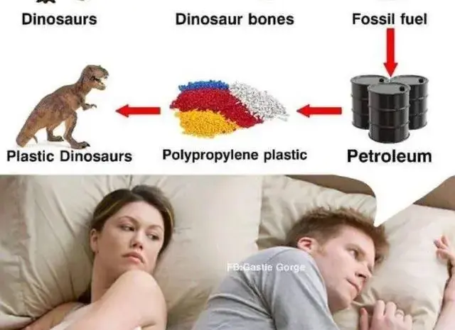 Dinossaurr