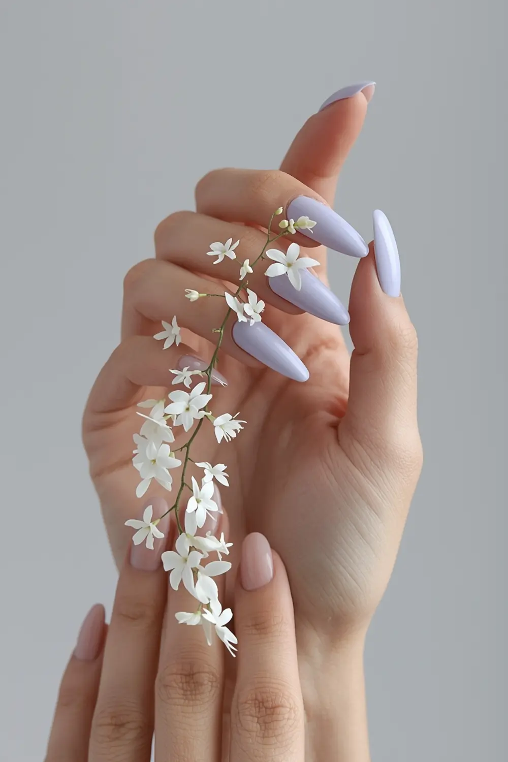 4. Whispers of Wisteria: A Cascading Vine
