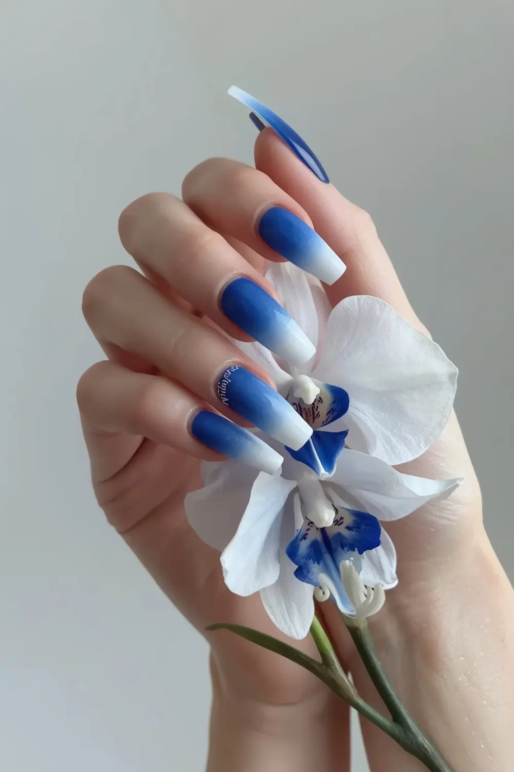 9. Ombré Orchids in Cerulean