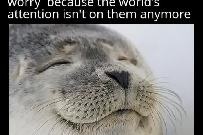 Plan successful boys