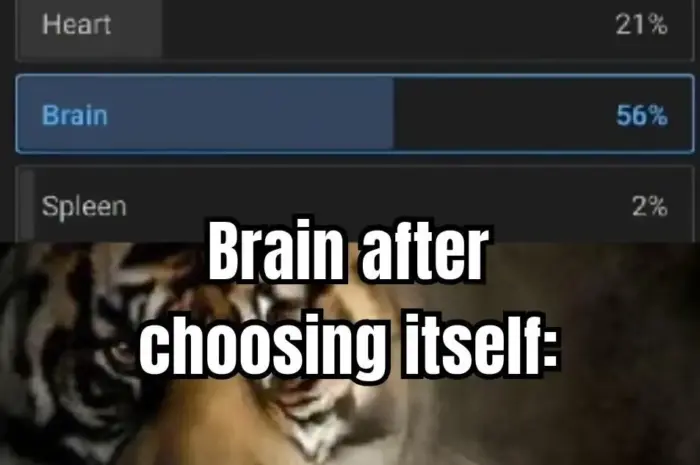 Lol,The most narcissistic organ