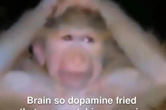 Brain rot continues