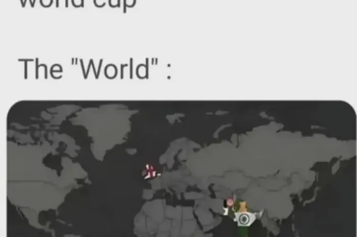 cricket world cup !