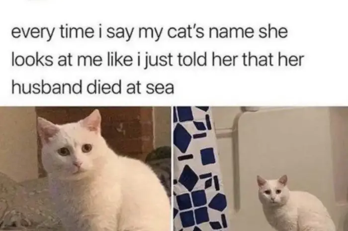 Lol ts real