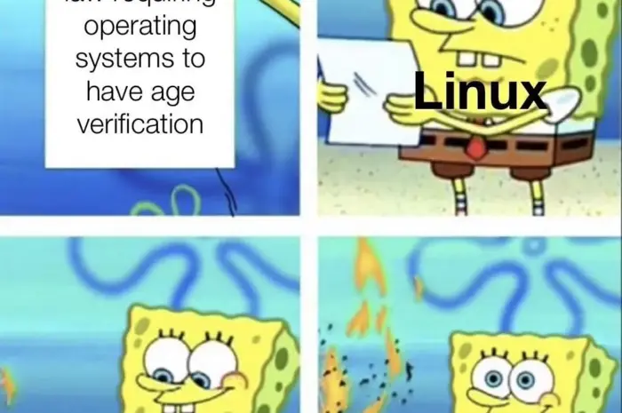 You literally cannot force Linux to do that