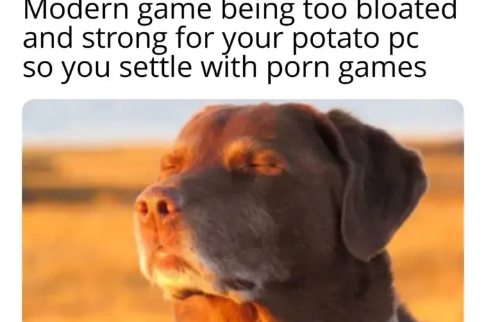 I swear some of em is really fun